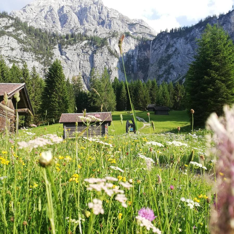 Gaestehaus Wilhelmshof แอห์วัลด์ ภายนอก รูปภาพ